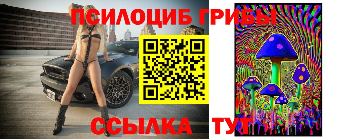 Благовещенск  Галлюциногенные грибы MAGIC MUSHROOMS  Вход с VPN 
